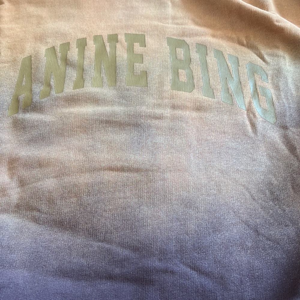 Anine Bing Brown and Gold Ombre Sweatshirt - Picture 13 of 14